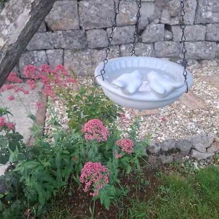 Appartement Envi