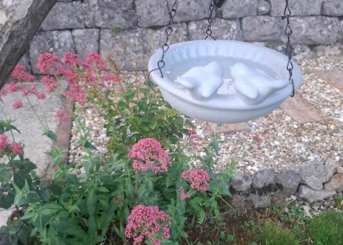 Apartment Envi